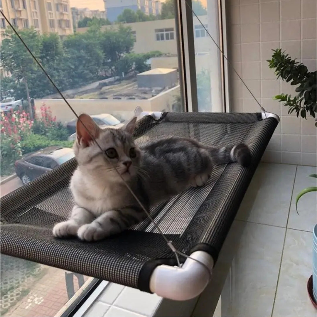 Hamac de Fenêtre pour Chat – Perchoir Suspendu avec Ventouses Ultra-Résistantes | Lit Confortable et Solide pour Observer et Se Reposer