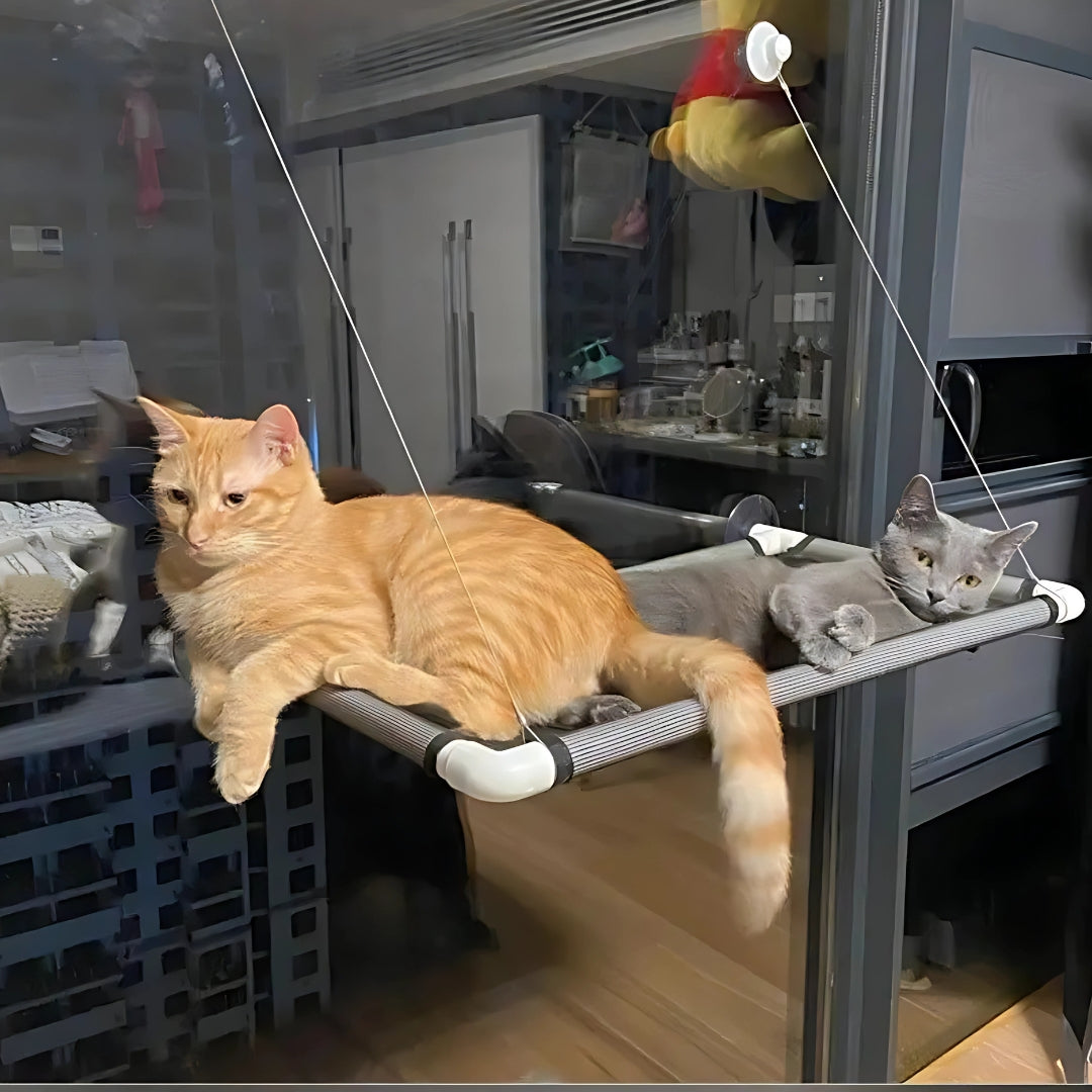 Hamac de Fenêtre pour Chat – Perchoir Suspendu avec Ventouses Ultra-Résistantes | Lit Confortable et Solide pour Observer et Se Reposer