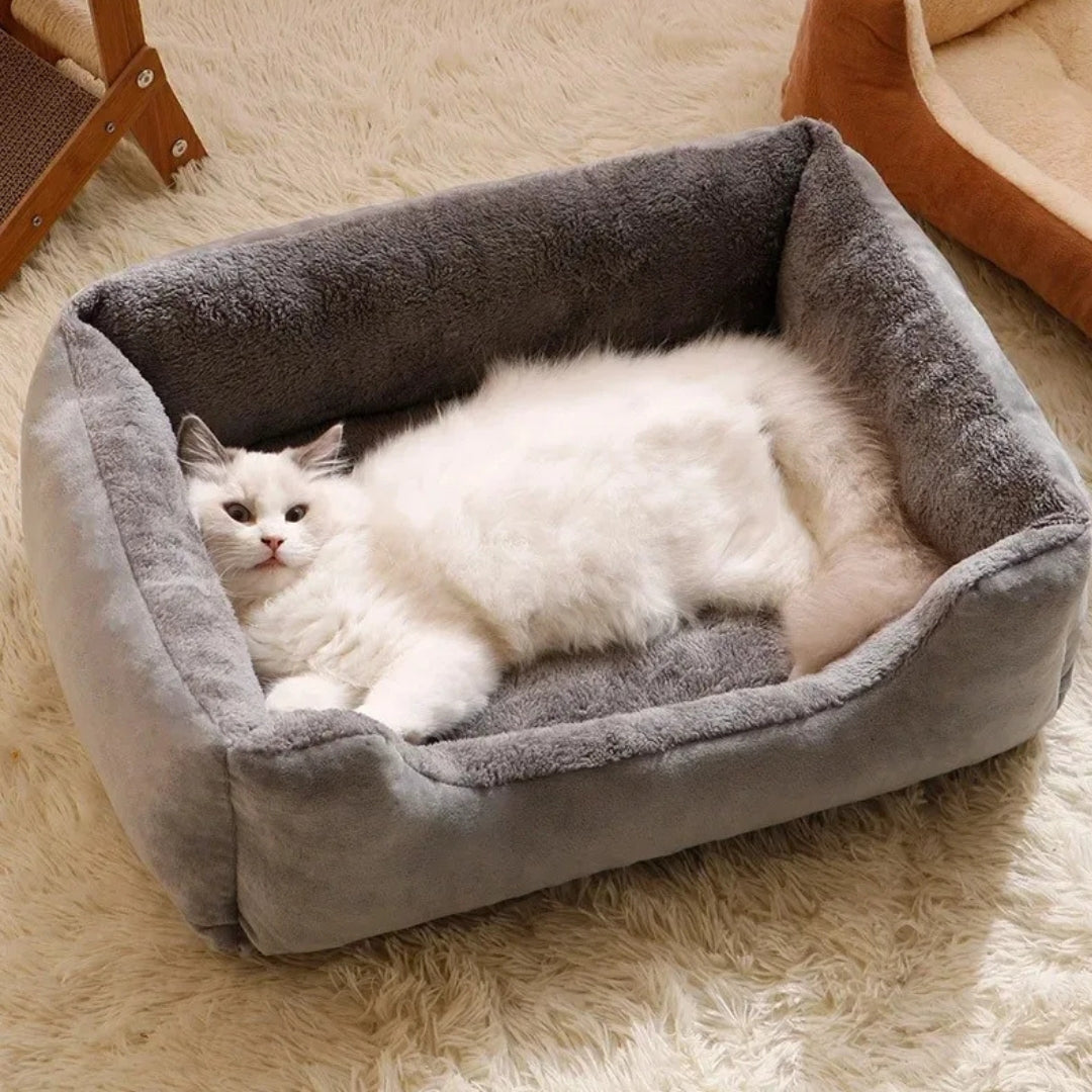 Chat blanc à poils longs allongé dans son canapé pour chat rectangulaire gris avec bords surélevés, intérieur en peluche grise ultra-douce et extérieur en velours résistant.