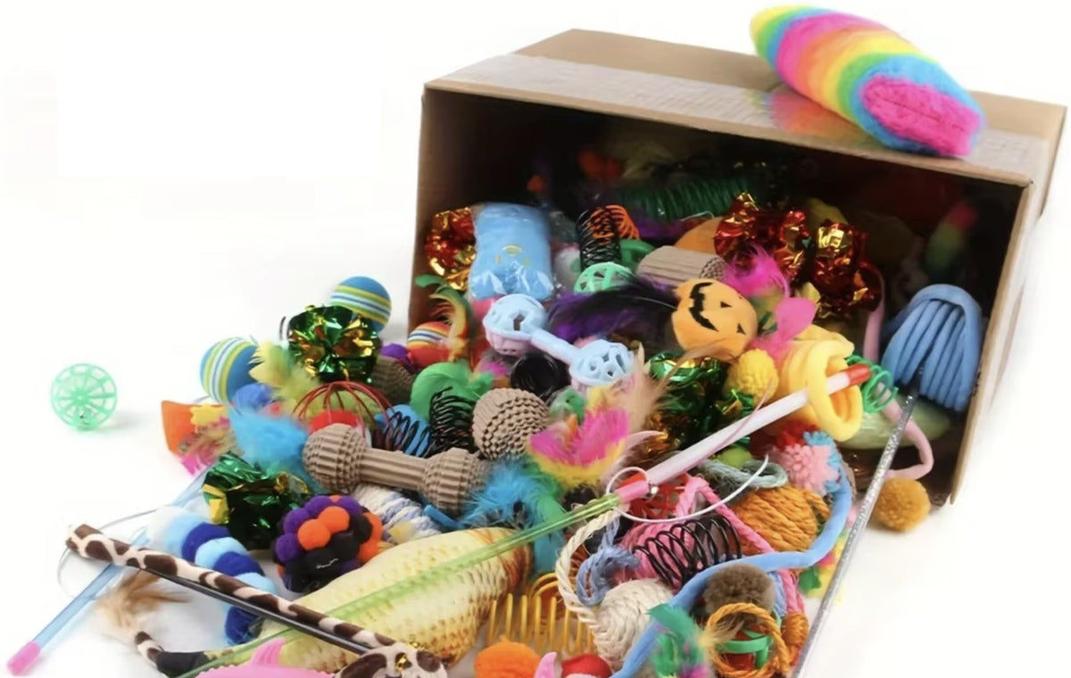 Coffret de jouets pour chat de 56 jouets, photo du vendeur : carton renversé de jouets tirés au hasard — Les Trésors d'Owka