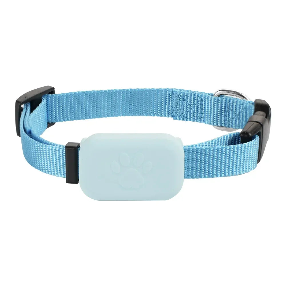 Collier pour chat bleu ciel en nylon robuste avec boîtier de protection intégré pour traceur GPS, boucle de réglage noire et anneau de fixation métallique.