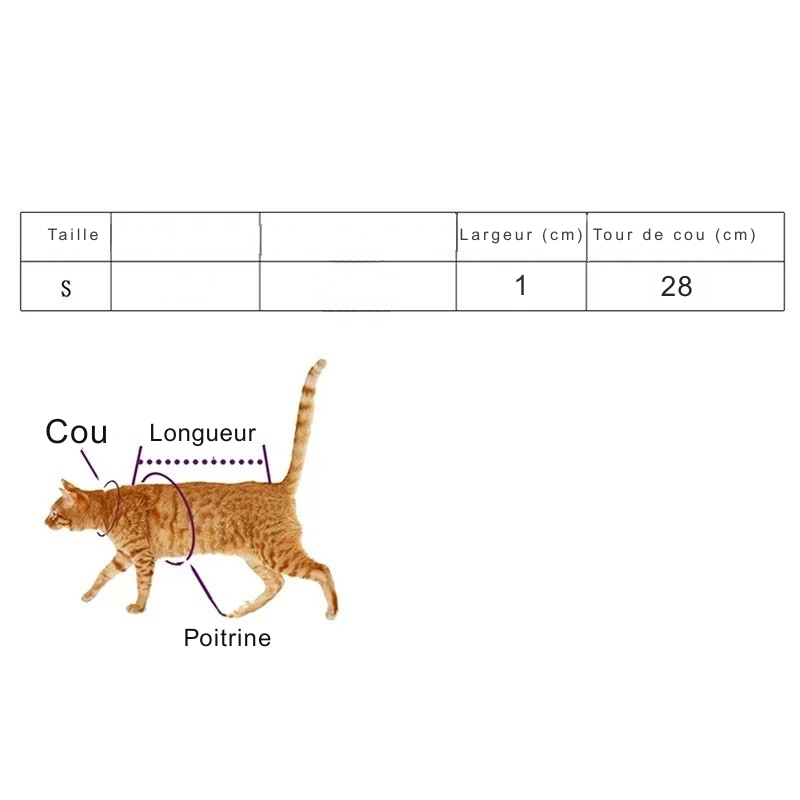 Guide des tailles pour collier pour chat et collier chaton. Tableau de mesures indiquant la taille S (largeur 1cm, tour de cou 28cm) avec un schéma explicatif sur un chat roux pour mesurer le cou, la poitrine et la longueur. Image technique essentielle pour choisir le bon collier chat sans se tromper.