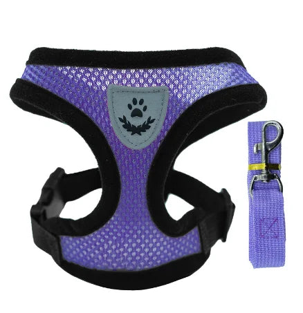 Vue studio d'un harnais pour chat violet en maille respirante avec laisse assortie incluse. Ce harnais chat ergonomique et anti-évasion possède un logo réfléchissant de sécurité et une boucle robuste pour un maintien optimal. Un harnais léger et confortable idéal pour les sorties quotidiennes en toute sérénité.
