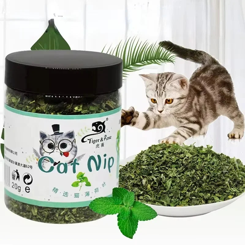 Pot de 20g d'herbe à chat cataire (Catnip) de marque Tiger & Rose, présenté avec un tas de feuilles séchées et un chaton tigré réagissant au stimulant naturel.