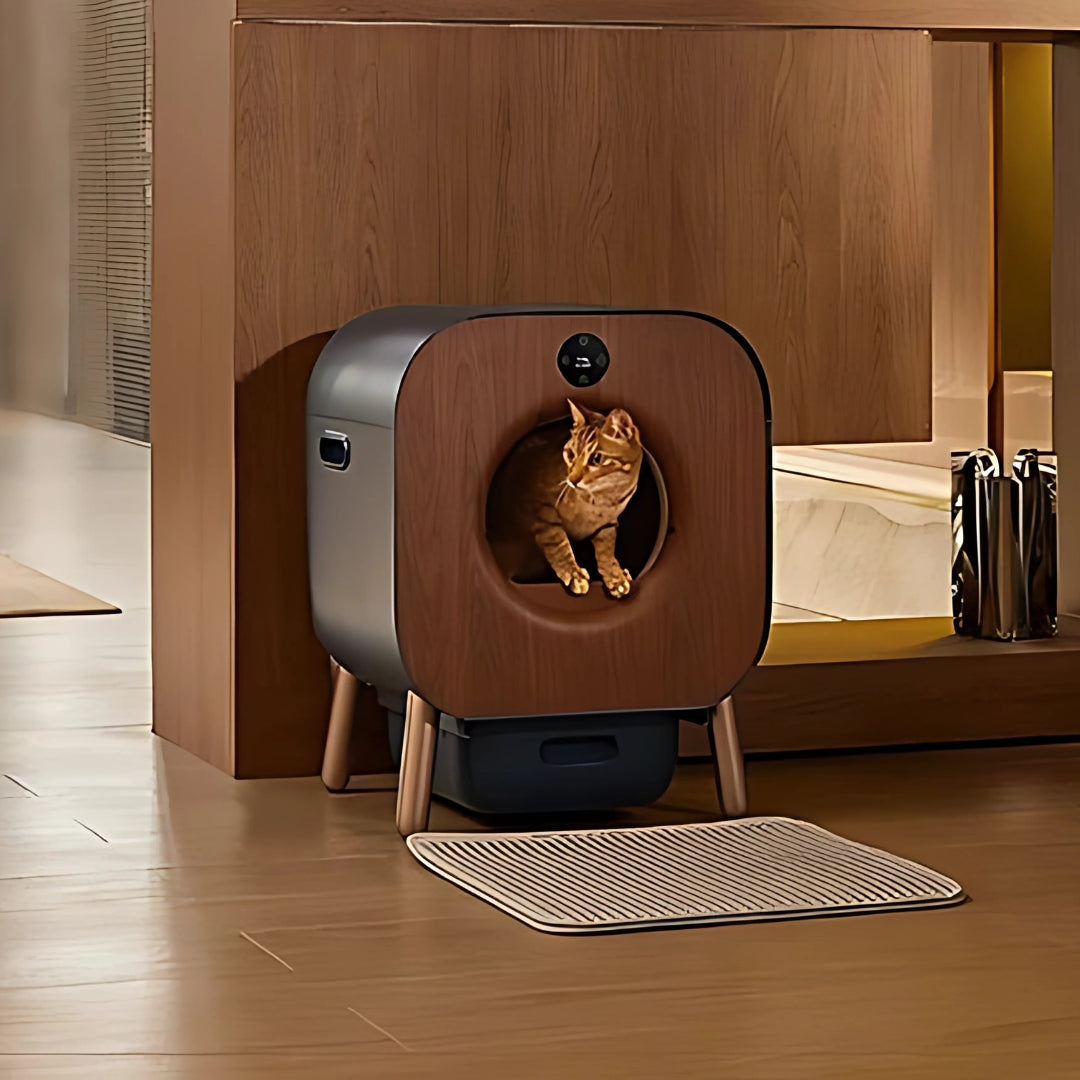 image de la Litière Autonettoyante Intelligente pour Chat – Certifiée TÜV Rheinland posé dans une pièce contre un mur avec un chat dedans