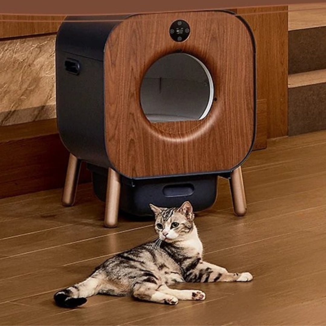 image de la Litière Autonettoyante Intelligente pour Chat – Certifiée TÜV Rheinland posé dans un coin avec un chat couché devant