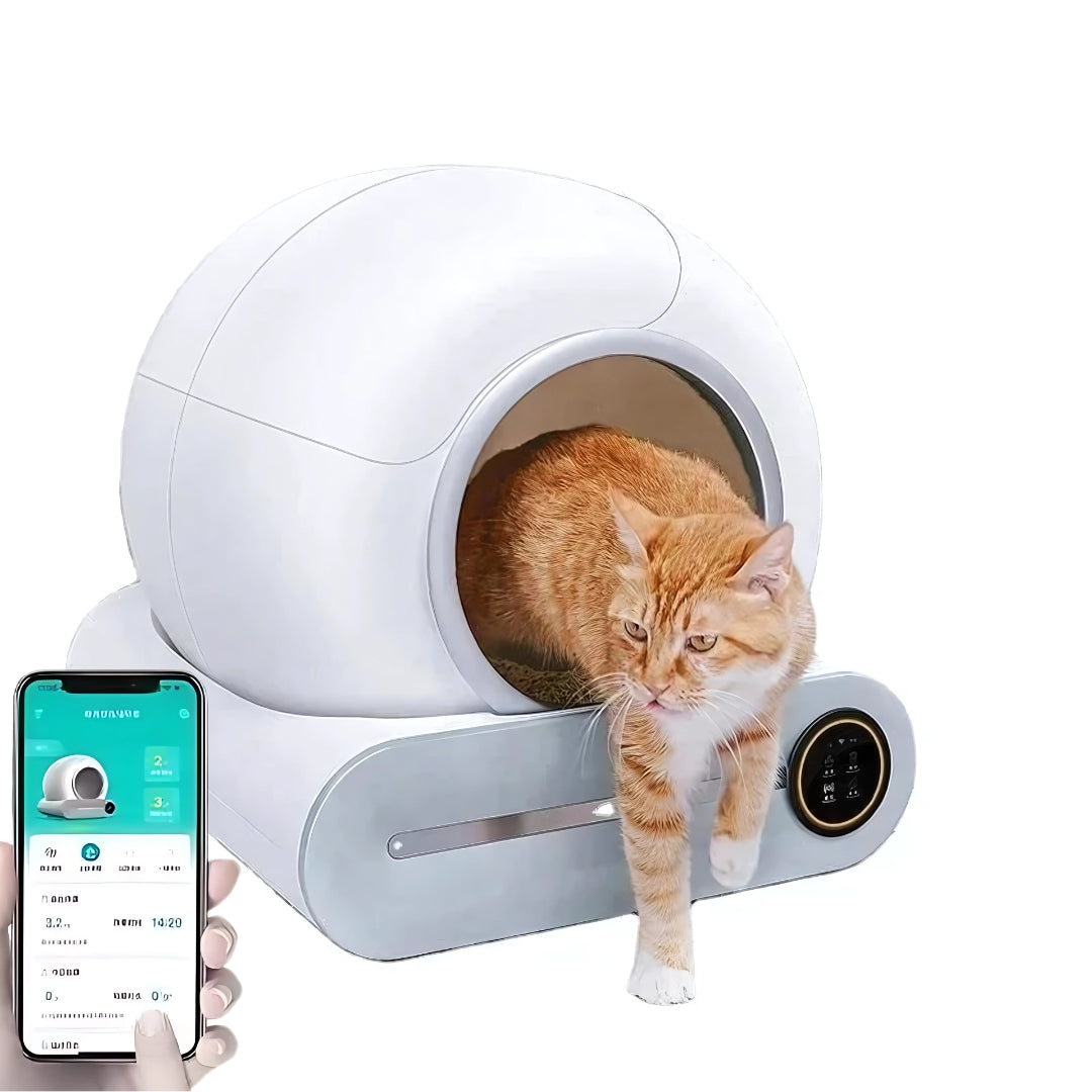 image de la litière autonettoyante ronde blanche avec un chat orange qui en sort et un telephone portable sur le coté