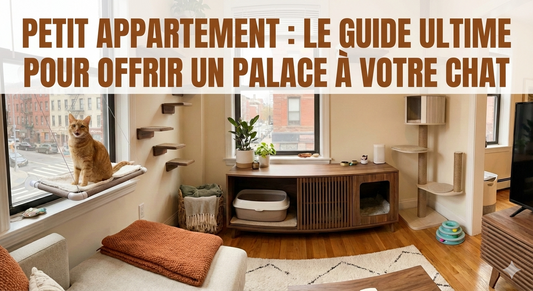 Petit Appartement : Le Guide Ultime pour offrir un Palace à votre Chat (Sans pousser les murs)