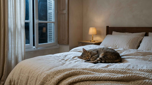 Chat paisiblement endormi la nuit sur un lit dans une chambre calme et tamisée, Les Trésors d'Owka