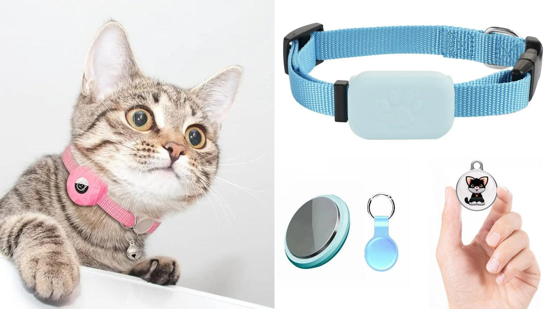 Comparatif collier GPS chat : chat tigré au collier rose, collier bleu, balise et médaillon — Les Trésors d'Owka