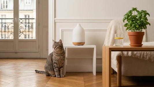 Huiles essentielles dangereuses pour les chats — tea tree, lavande, diffuseur et alternatives sûres — Les Trésors d'Owka