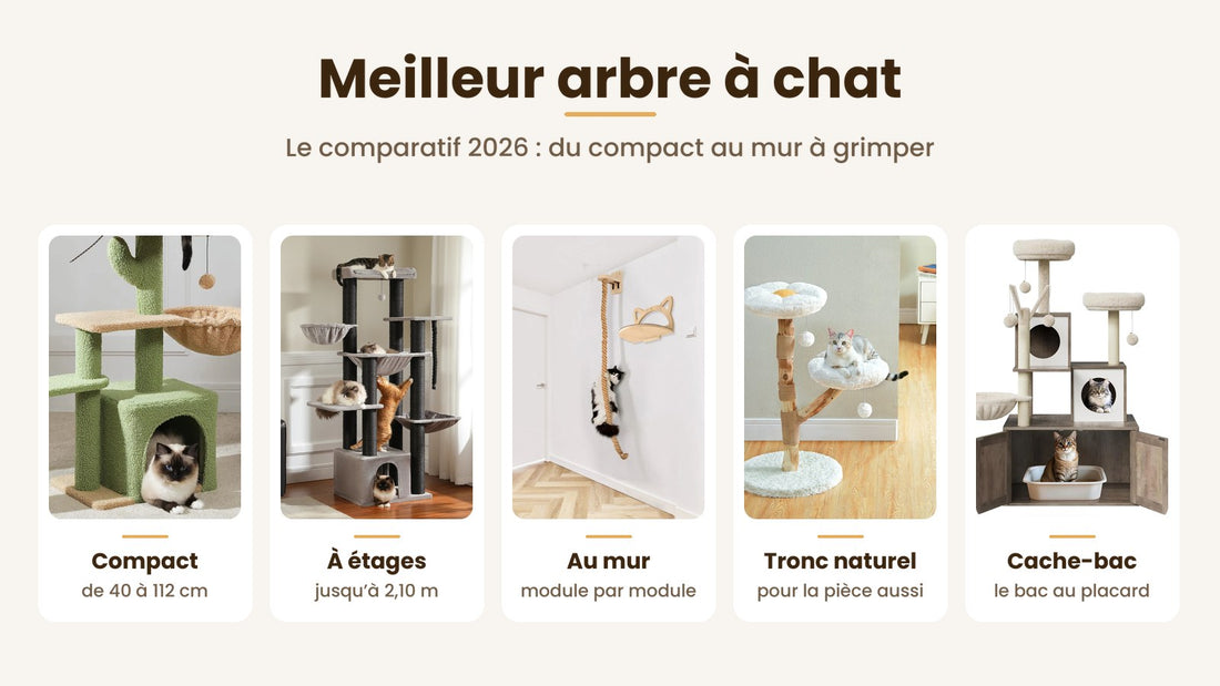 Cinq arbres à chat comparés : compact, à étages, au mur, tronc naturel et placard pour le bac — Les Trésors d'Owka