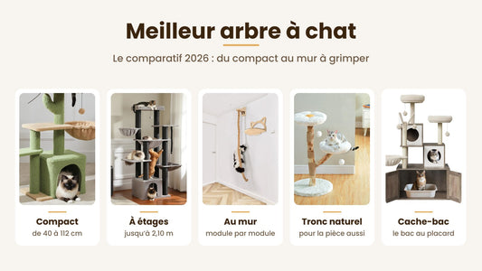 Cinq arbres à chat comparés : compact, à étages, au mur, tronc naturel et placard pour le bac — Les Trésors d'Owka