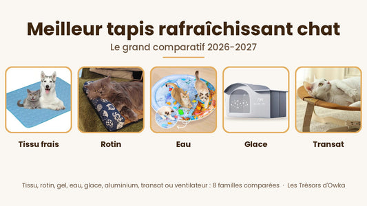 Tissu, rotin, poche d'eau, maisonnette à glace et transat en bois : cinq couchages d'été comparés — Les Trésors d'Owka