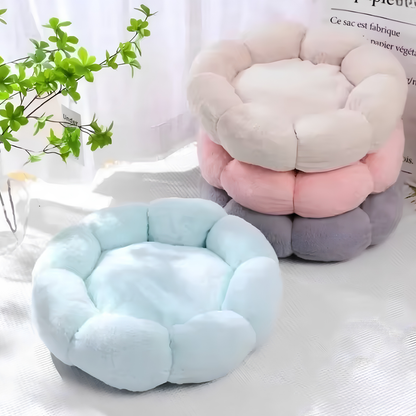 L'Éclosion Douceur : Coussin Chat Fleur & Lit Moelleux Apaisant
