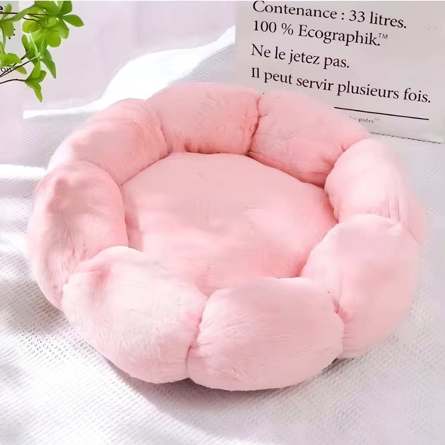 L'Éclosion Douceur : Coussin Chat Fleur & Lit Moelleux Apaisant