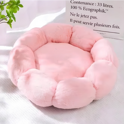 L'Éclosion Douceur : Coussin Chat Fleur & Lit Moelleux Apaisant