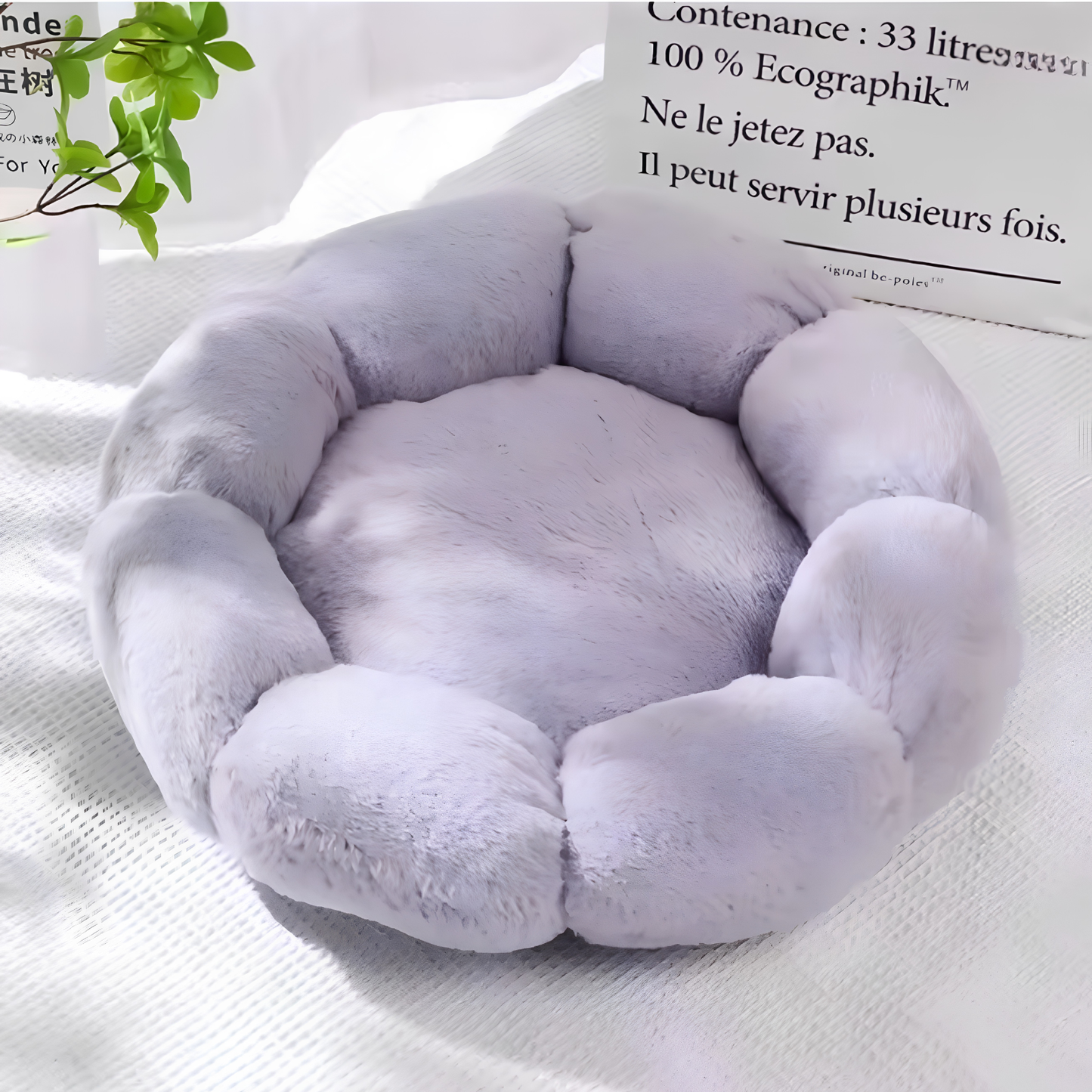 L'Éclosion Douceur : Coussin Chat Fleur & Lit Moelleux Apaisant
