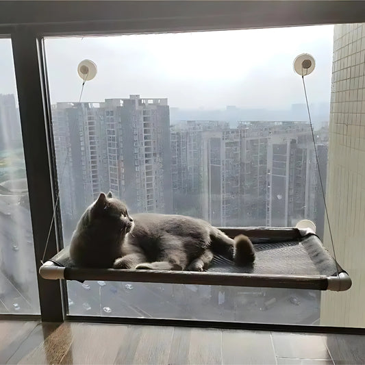 Hamac de Fenêtre pour Chat – Perchoir Suspendu avec Ventouses Ultra-Résistantes | Lit Confortable et Solide pour Observer et Se Reposer