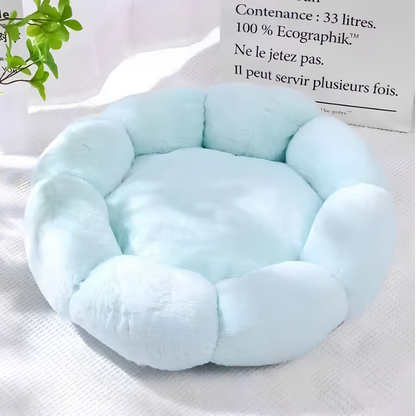 L'Éclosion Douceur : Coussin Chat Fleur & Lit Moelleux Apaisant