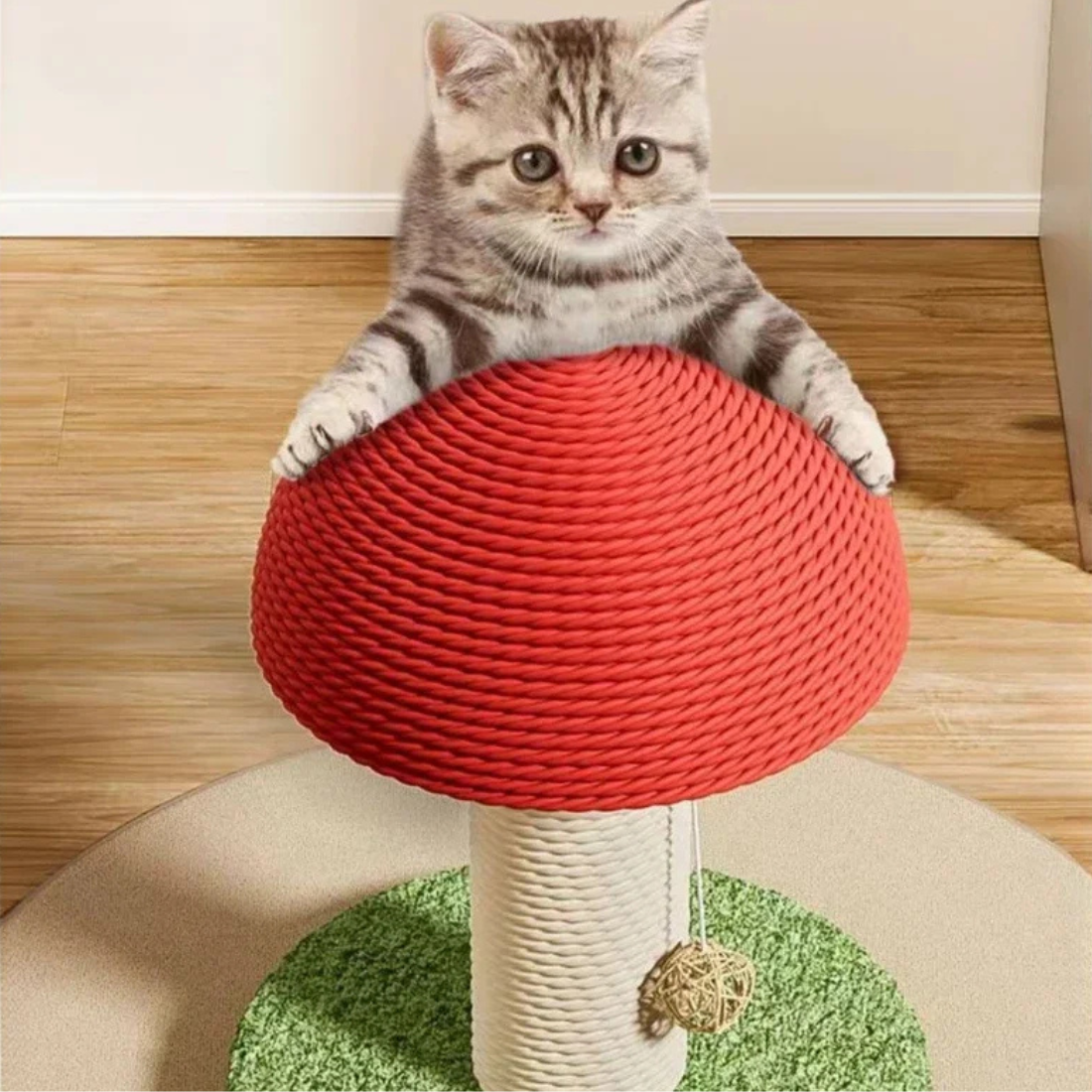 Griffoir Champignon pour Chat – Arbre à chat original en sisal, protège vos meubles et divertit votre félin (2 tailles disponibles)