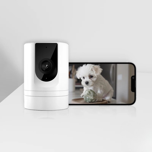 Caméra de Surveillance Connectée "Sentinelle" (Animaux & Maison)