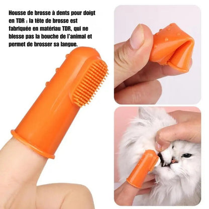 Kit Soin Dentaire Complet : Brosse à Dent & Dentifrice (Chat & Chien)
