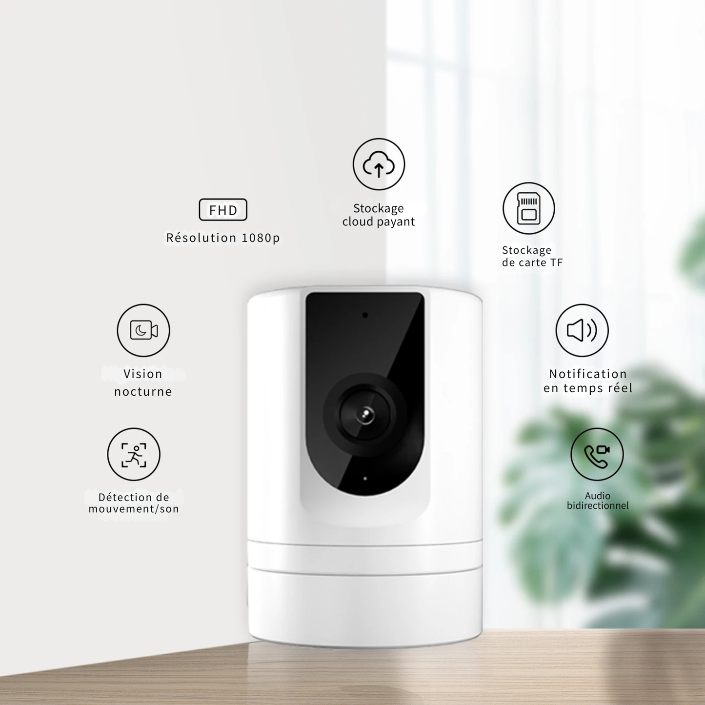 Caméra de Surveillance Connectée "Sentinelle" (Animaux & Maison)