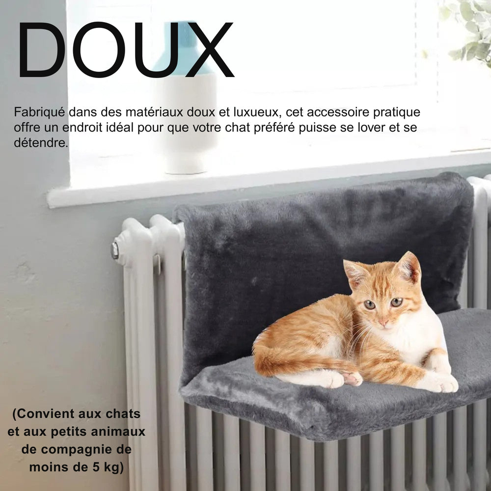 JUSQU'OÙ VA UN « GROS CHAT » ?