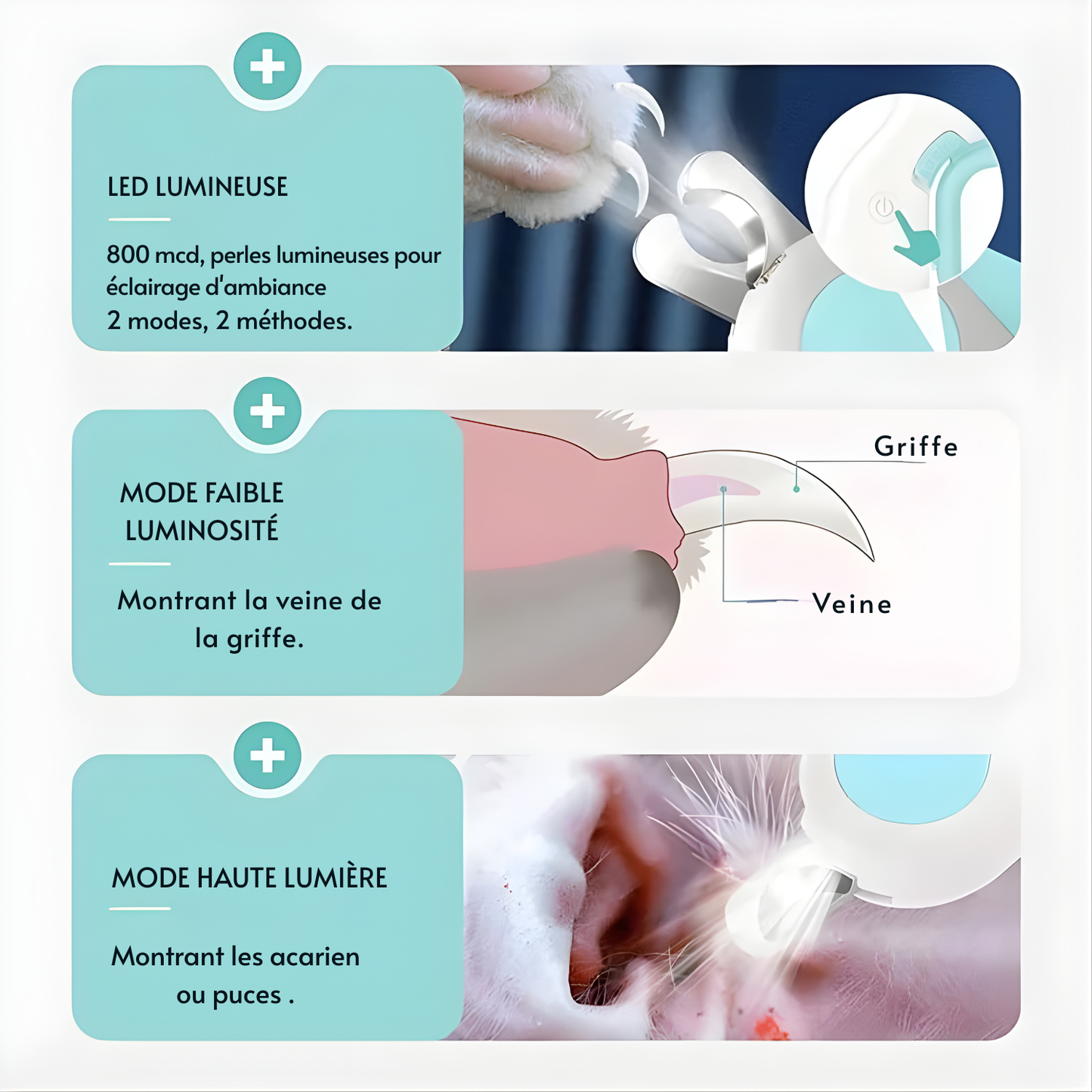 Coupe-Griffes LED pour Chat et Chien – Sécurité, Précision & Confort | Lumière Intégrée, Lame Inox & Verrouillage Sécurisé – Les Trésors d’Owka