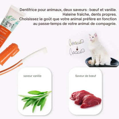 Kit Soin Dentaire Complet : Brosse à Dent & Dentifrice (Chat & Chien)