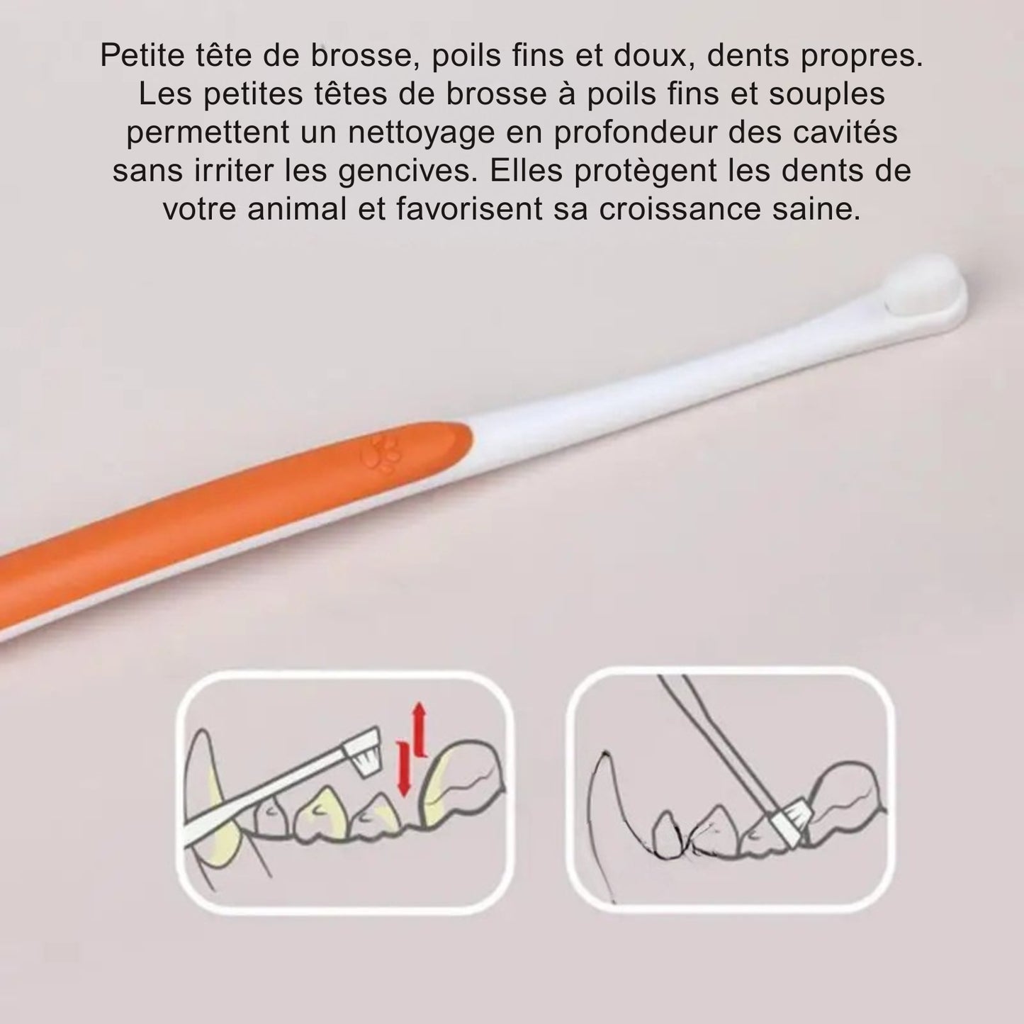Kit Soin Dentaire Complet : Brosse à Dent & Dentifrice (Chat & Chien)