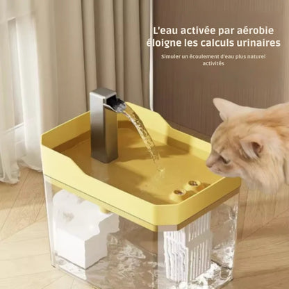 Fontaine à Eau pour Chat Transparente avec Filtre (1.5L)