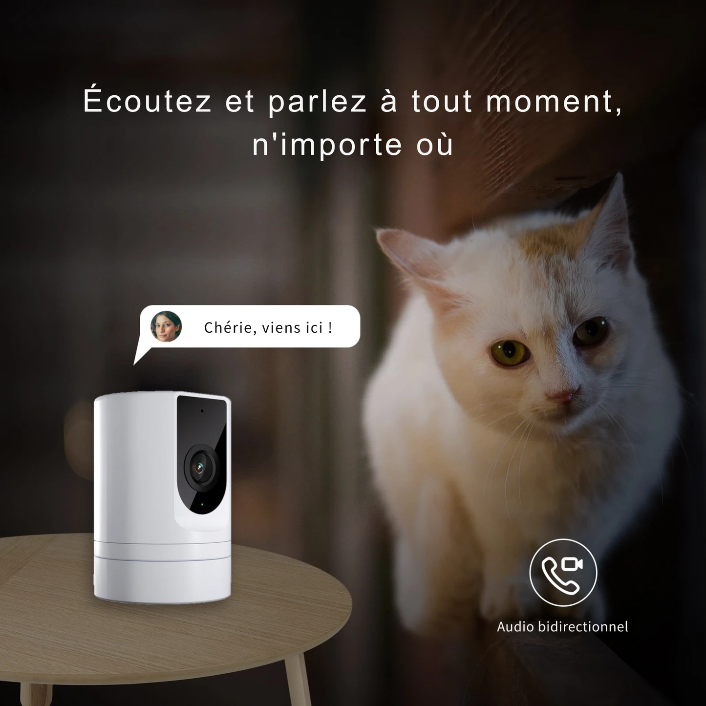 Caméra de Surveillance Connectée "Sentinelle" (Animaux & Maison)
