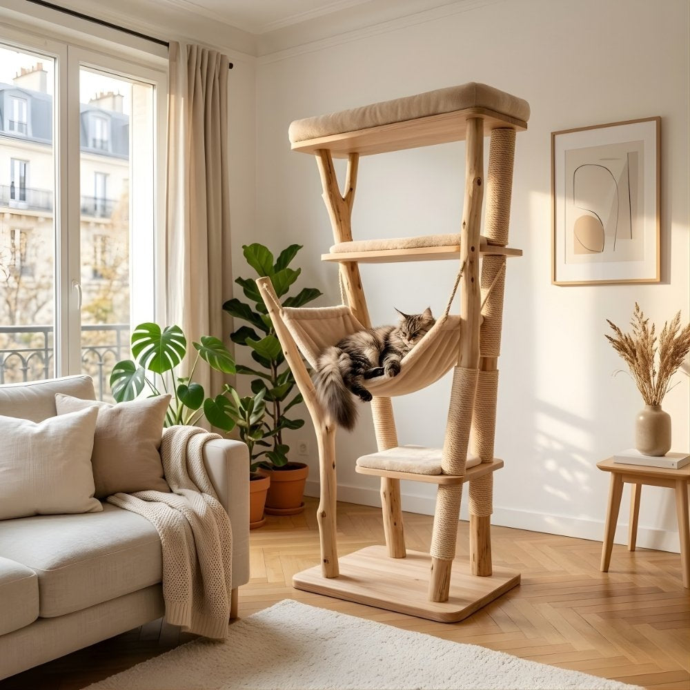 SON ROYAUME, VOTRE DÉCORATION