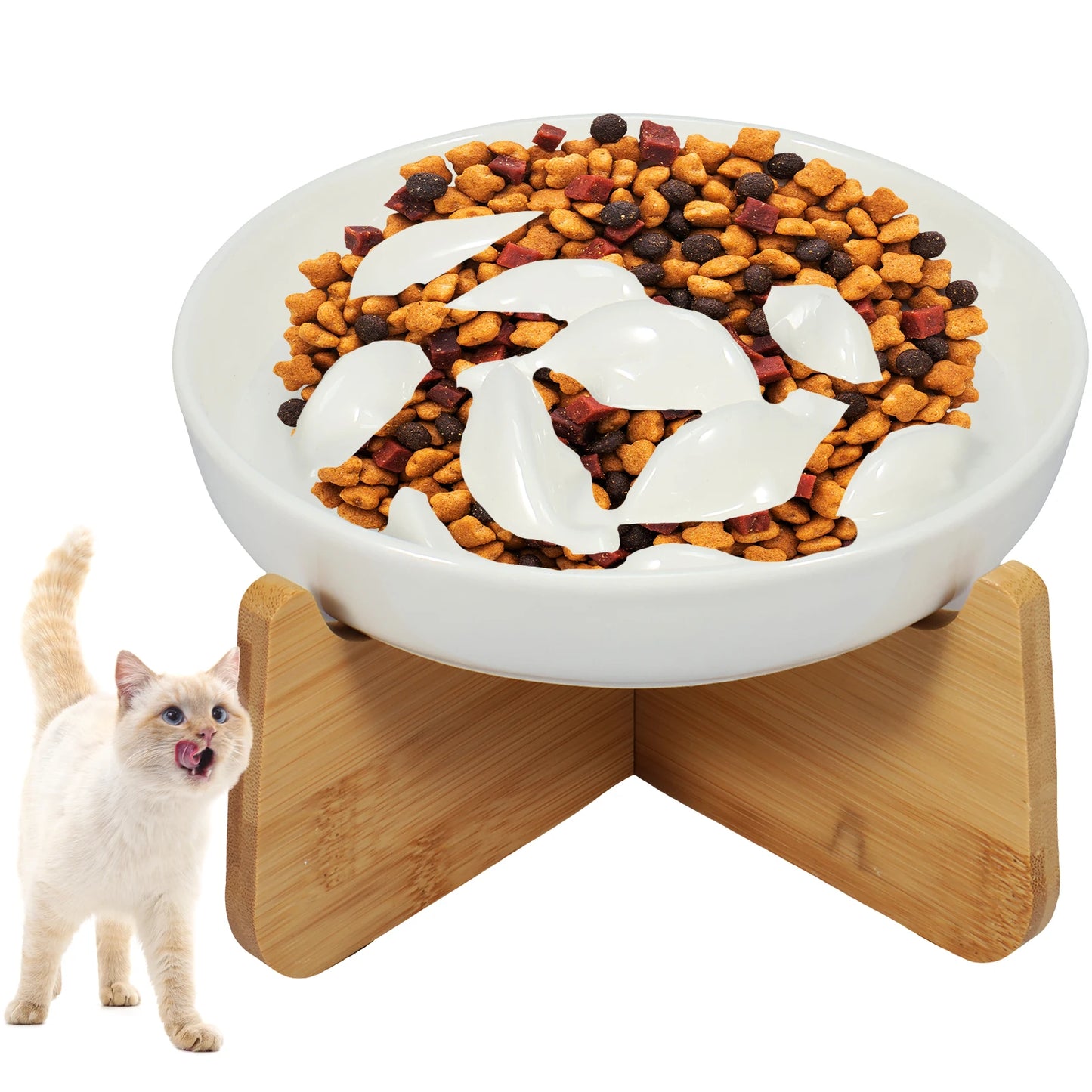 Pack "Bien-être Repas" — Fontaine + Gamelle Céramique (-23%)