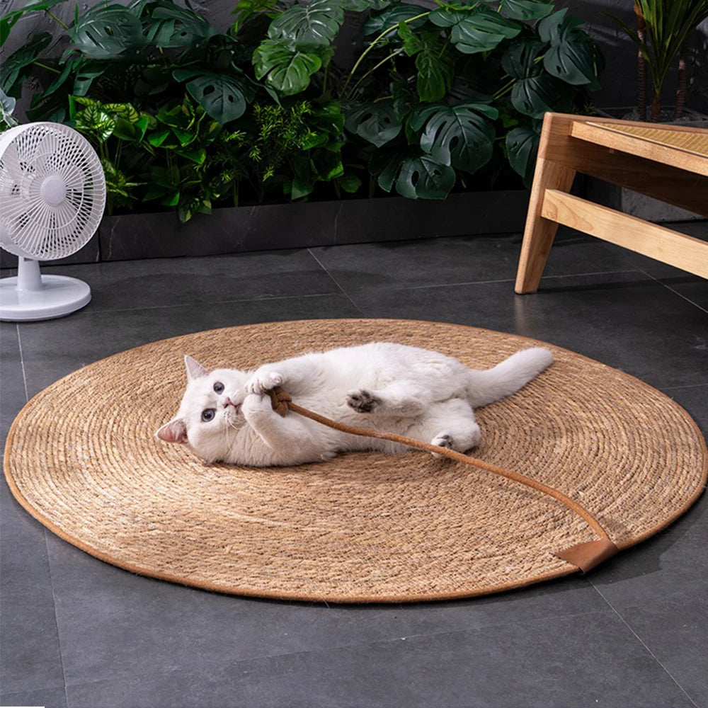 Tapis Griffoir Chat Rond en Sisal Naturel avec Jouet Intégré