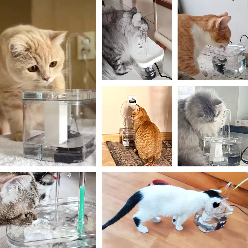 Fontaine à Eau pour Chat "Effet Robinet" (1.5L) – Transparente & Silencieuse