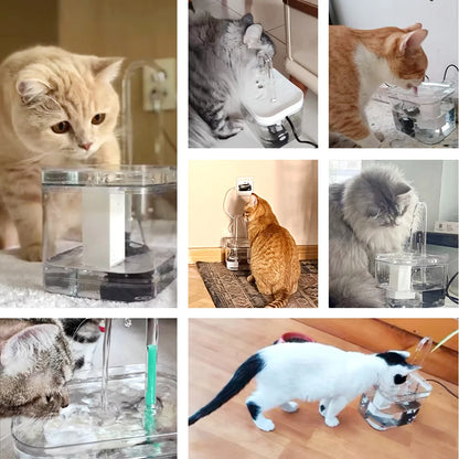 Fontaine à Eau pour Chat "Effet Robinet" (1.5L) – Transparente & Silencieuse