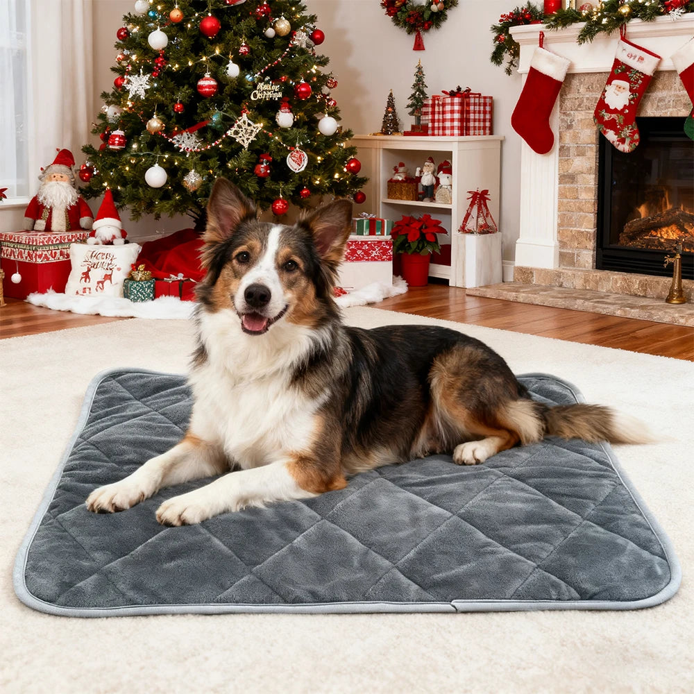 Chat installé sur le tapis thermique en microfleece - Les Trésors d'Owka