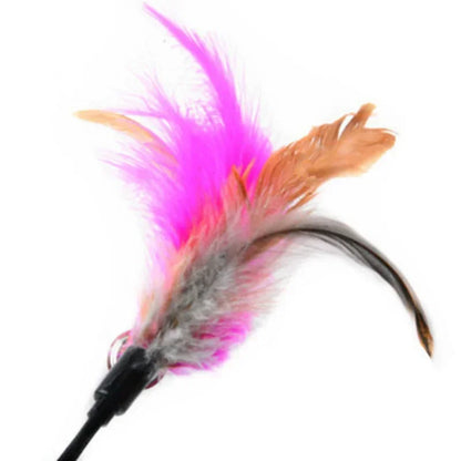 Gros plan sur une recharge de plumes naturelles pour chat aux teintes rose fuchsia et brunes, équipée d'une petite clochette et d'un connecteur noir pour une fixation facile sur canne à pêche.