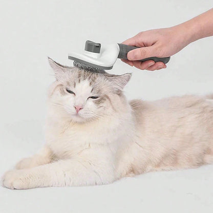 Brosse pour Chat Auto-Nettoyante – Élimine les Poils Morts