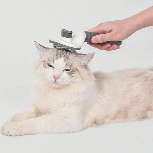 Brosse pour Chat Auto-Nettoyante – Élimine les Poils Morts