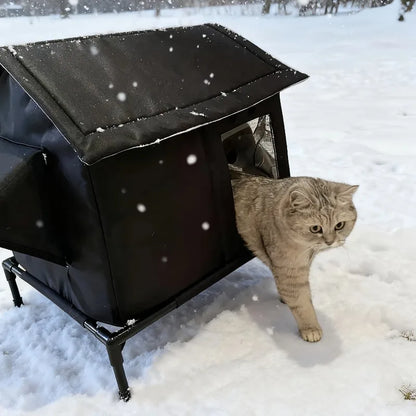 Chat abrité dans la cabane d'extérieur en hiver - Les Trésors d'Owka