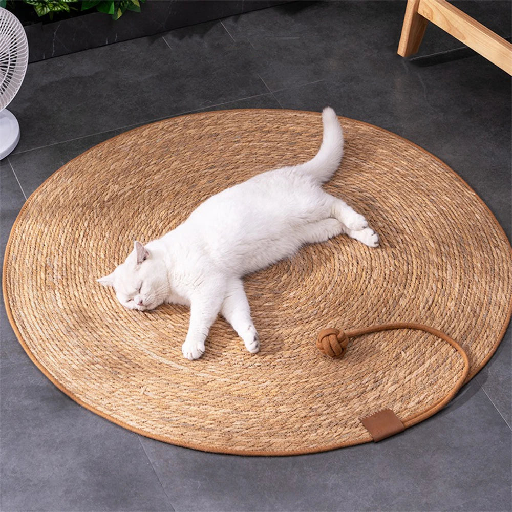 Tapis Griffoir Chat Rond en Sisal Naturel avec Jouet Intégré