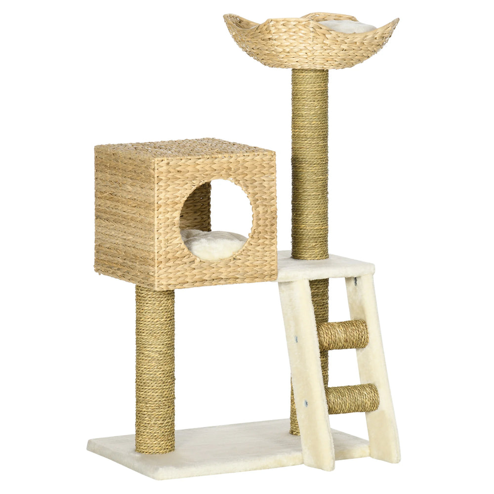 UN VÉRITABLE ATOUT DÉCO