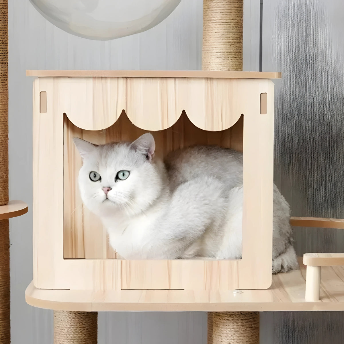 Arbre à chat design en bois naturel avec capsule transparente panoramique, niche moderne style chalet et plateformes épurées pour un intérieur scandinave.