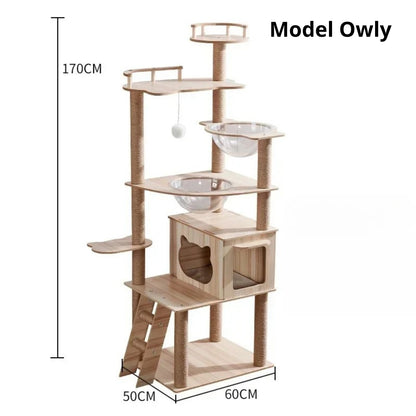 Arbre à chat design en bois naturel Model Owly de 170 cm avec deux capsules spatiales transparentes, niche moderne à tête de chat, échelle de jeu et base stable de 60x50 cm.