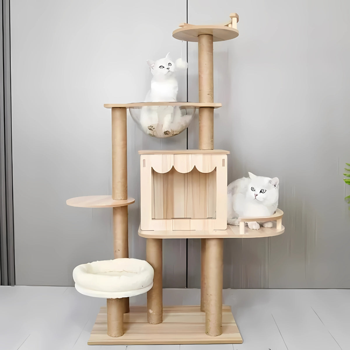 Arbre à chat design en bois clair naturel avec capsule spatiale transparente en acrylique, niche moderne style chalet et dodo en peluche blanche amovible pour intérieur scandinave.