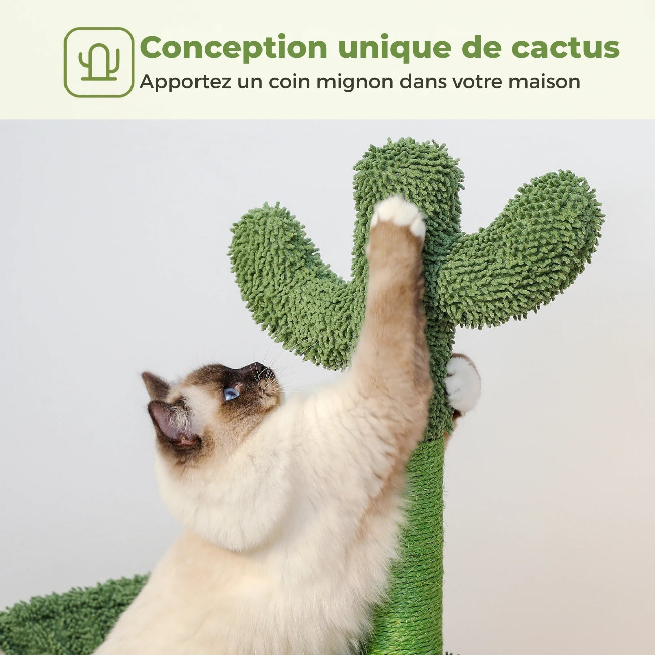 Chat sacré de Birmanie utilisant le griffoir en sisal vert d'un arbre à chat cactus au design unique avec revêtement en tissu chenille texturé.